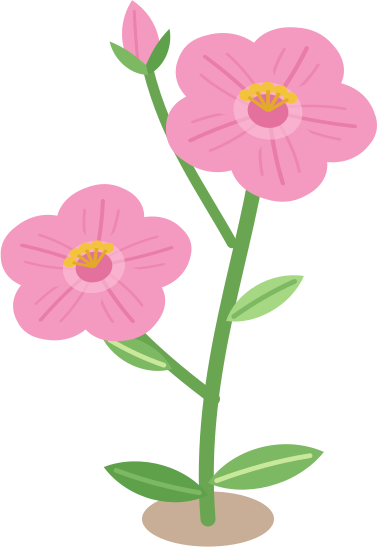 Plante adulte
